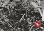 Image les troupes allemandes Kertch Crimée, 1941, de la seconde 21 séquences d'archives historiques vidéo 65675023584