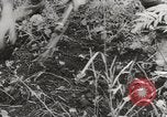 Image les troupes allemandes Kertch Crimée, 1941, de la seconde 23 séquences d'archives historiques vidéo 65675023584