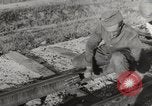 Image les troupes allemandes Kertch Crimée, 1941, de la seconde 49 séquences d'archives historiques vidéo 65675023584