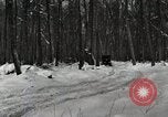 Image of Ford automobile with skis Michigan United States USA, 1918, second 5 stock footage video 65675023594