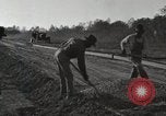 Image of road under construction United States USA, 1918, second 28 stock footage video 65675023595