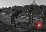 Image of road under construction United States USA, 1918, second 34 stock footage video 65675023595