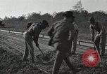 Image of road under construction United States USA, 1918, second 36 stock footage video 65675023595
