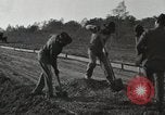 Image of road under construction United States USA, 1918, second 37 stock footage video 65675023595