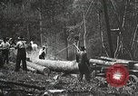 Image of workers load timber United States USA, 1926, second 4 stock footage video 65675023598