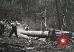 Image of workers load timber United States USA, 1926, second 5 stock footage video 65675023598