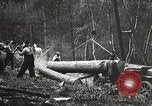 Image of workers load timber United States USA, 1926, second 6 stock footage video 65675023598