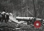 Image of workers load timber United States USA, 1926, second 7 stock footage video 65675023598