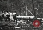 Image of workers load timber United States USA, 1926, second 8 stock footage video 65675023598