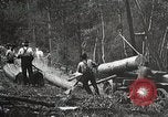 Image of workers load timber United States USA, 1926, second 10 stock footage video 65675023598
