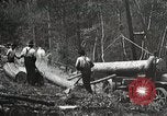 Image of workers load timber United States USA, 1926, second 11 stock footage video 65675023598