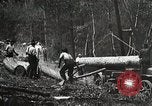 Image of workers load timber United States USA, 1926, second 12 stock footage video 65675023598