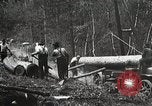 Image of workers load timber United States USA, 1926, second 14 stock footage video 65675023598