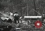 Image of workers load timber United States USA, 1926, second 15 stock footage video 65675023598