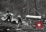 Image of workers load timber United States USA, 1926, second 17 stock footage video 65675023598