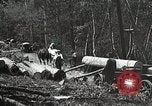 Image of workers load timber United States USA, 1926, second 19 stock footage video 65675023598