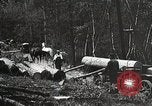 Image of workers load timber United States USA, 1926, second 21 stock footage video 65675023598