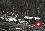 Image of workers load timber United States USA, 1926, second 22 stock footage video 65675023598