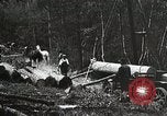 Image of workers load timber United States USA, 1926, second 23 stock footage video 65675023598