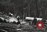 Image of workers load timber United States USA, 1926, second 24 stock footage video 65675023598
