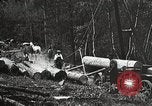 Image of workers load timber United States USA, 1926, second 25 stock footage video 65675023598