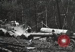 Image of workers load timber United States USA, 1926, second 26 stock footage video 65675023598