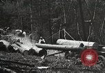 Image of workers load timber United States USA, 1926, second 27 stock footage video 65675023598