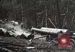 Image of workers load timber United States USA, 1926, second 28 stock footage video 65675023598