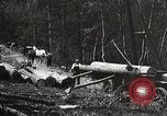 Image of workers load timber United States USA, 1926, second 31 stock footage video 65675023598