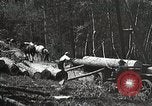 Image of workers load timber United States USA, 1926, second 33 stock footage video 65675023598