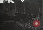 Image of workers load timber United States USA, 1926, second 39 stock footage video 65675023598