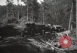 Image of workers load timber United States USA, 1926, second 40 stock footage video 65675023598