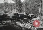 Image of workers load timber United States USA, 1926, second 41 stock footage video 65675023598