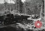 Image of workers load timber United States USA, 1926, second 46 stock footage video 65675023598