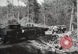 Image of workers load timber United States USA, 1926, second 47 stock footage video 65675023598