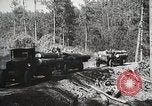 Image of workers load timber United States USA, 1926, second 48 stock footage video 65675023598