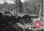 Image of workers load timber United States USA, 1926, second 53 stock footage video 65675023598