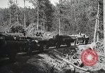 Image of workers load timber United States USA, 1926, second 54 stock footage video 65675023598