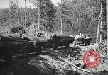 Image of workers load timber United States USA, 1926, second 55 stock footage video 65675023598