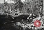 Image of workers load timber United States USA, 1926, second 56 stock footage video 65675023598