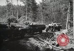 Image of workers load timber United States USA, 1926, second 57 stock footage video 65675023598