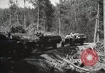Image of workers load timber United States USA, 1926, second 58 stock footage video 65675023598
