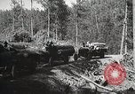 Image of workers load timber United States USA, 1926, second 59 stock footage video 65675023598