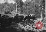 Image of workers load timber United States USA, 1926, second 60 stock footage video 65675023598
