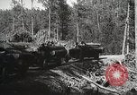 Image of workers load timber United States USA, 1926, second 61 stock footage video 65675023598