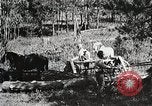 Image of workers load timber United States USA, 1926, second 7 stock footage video 65675023599