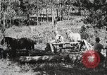 Image of workers load timber United States USA, 1926, second 8 stock footage video 65675023599