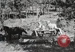 Image of workers load timber United States USA, 1926, second 9 stock footage video 65675023599