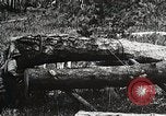Image of workers load timber United States USA, 1926, second 11 stock footage video 65675023599