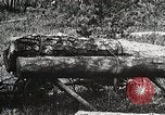 Image of workers load timber United States USA, 1926, second 12 stock footage video 65675023599
